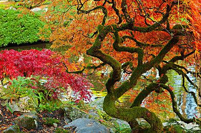 《Eluminage ORIGINAL》Steam上线 经典DRPG名作复归