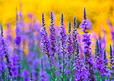 《Decadent》Steam页面上线 叙事型恐怖FPS